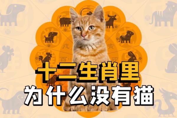 风水解读晚年最没福气的生肖有你的吗