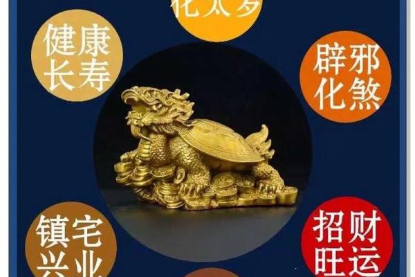 风水龙龟有什么作用的摆放方法及禁忌