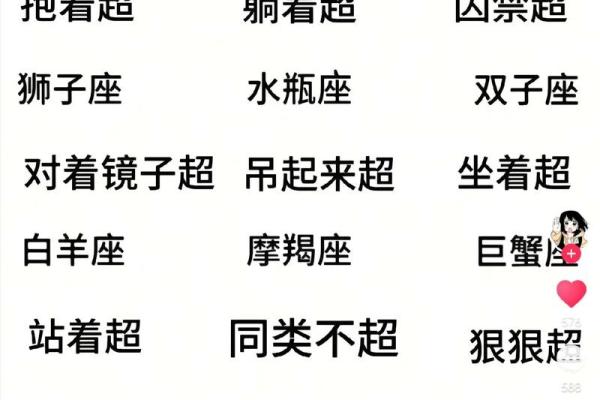 12星座哪个星座最容易被人追捕