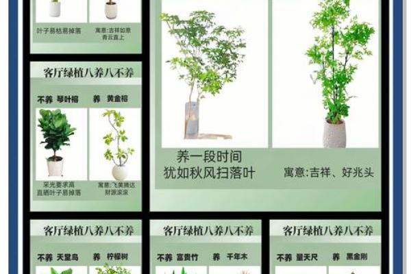 树木花卉摆放也影响风水