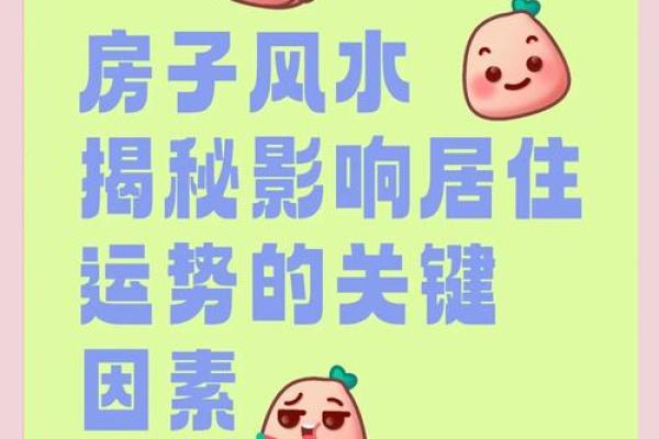 住宅设计与风水提升住宅品质的秘密
