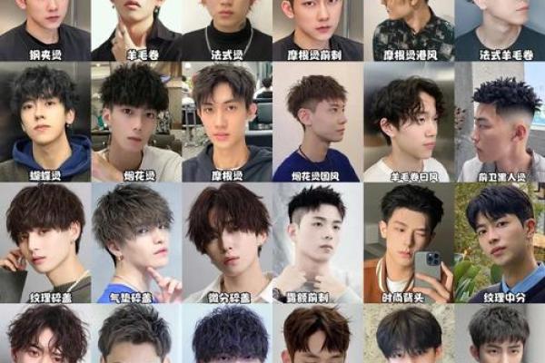 十二星座最适合怎样的发型男