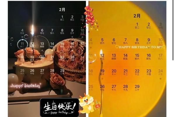 2月11日生日命运 二月十一日是什么星座