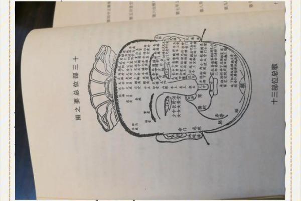 面相学：通过面相断家中风水秘决！
