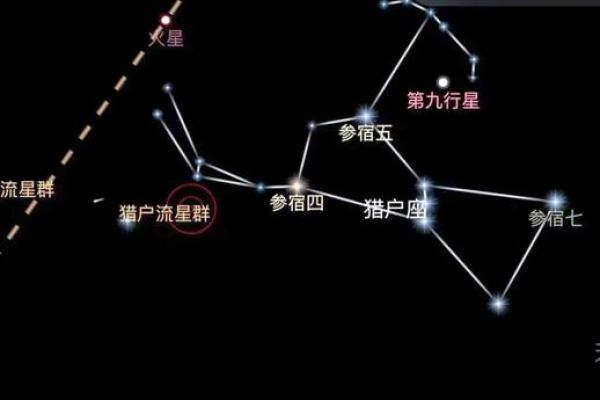 猎户座中最亮的星是哪颗星座