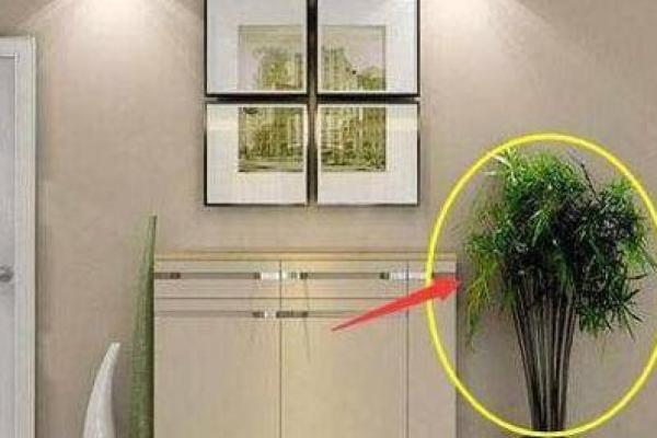 客厅风水，犯禁忌可能越住越穷