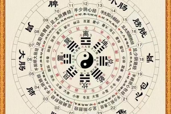 八卦风水学入门知识大全