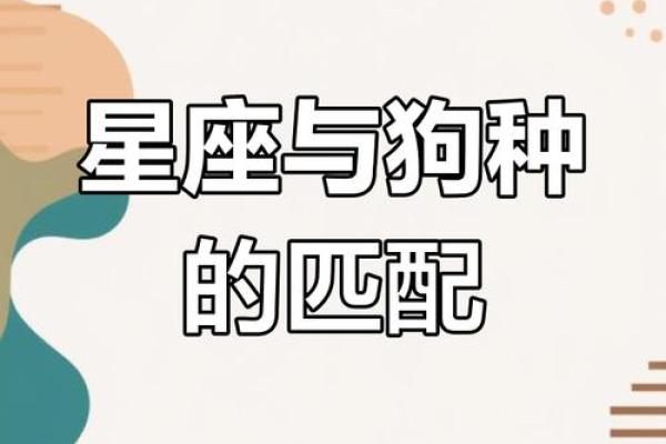 狗年运势旺到爆的星座