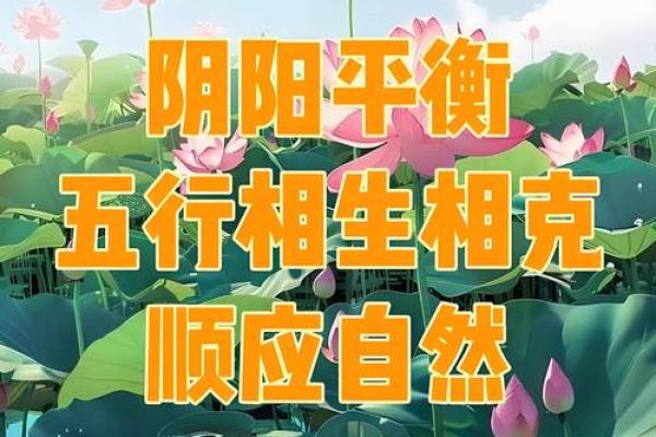 家人健康 风水
