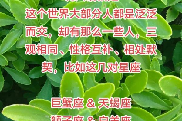 十二星座水瓶座和金牛座的男朋友合适吗