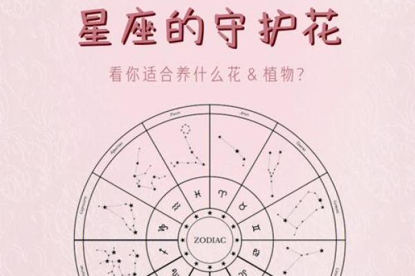 十二星座对应守护花分别都有哪些呢