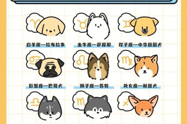 什么星座最适合养什么样的狗狗