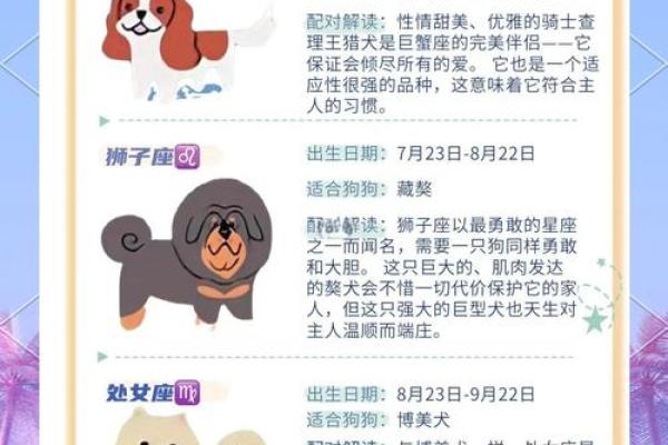 什么星座最适合养什么样的狗狗