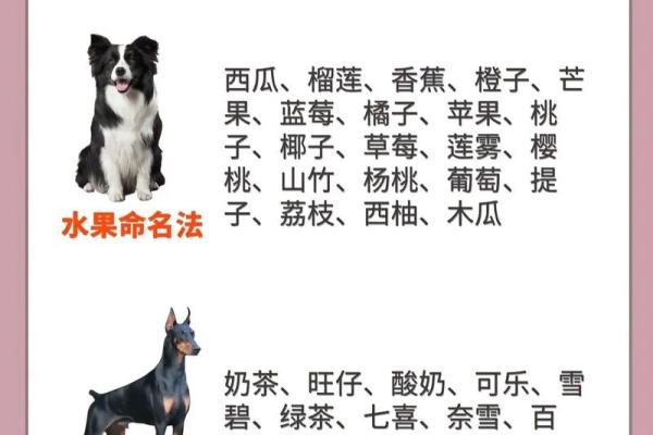 属狗未时出生的男孩应该如何起名，宜用哪些字姓名