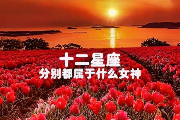 十二星座谁素颜最美