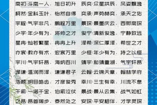 2019年6月13号寅时出生的男孩应该起什么样的名字姓名
