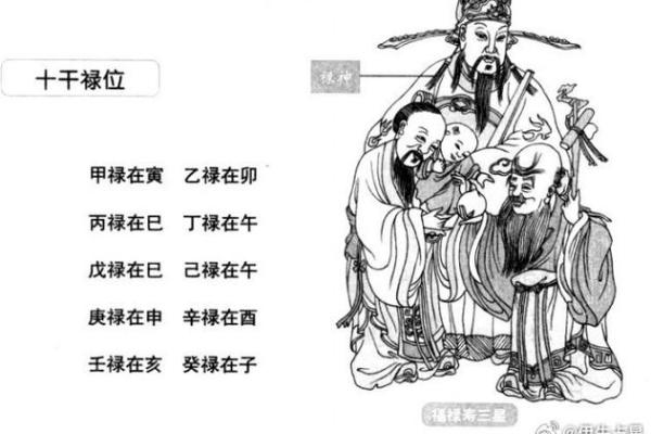 父子八字
