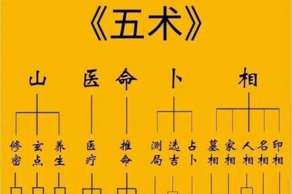 紫薇斗数第三者
