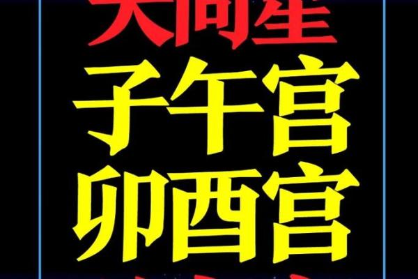 紫薇斗数看财气