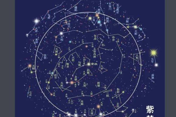 紫薇斗数大太极