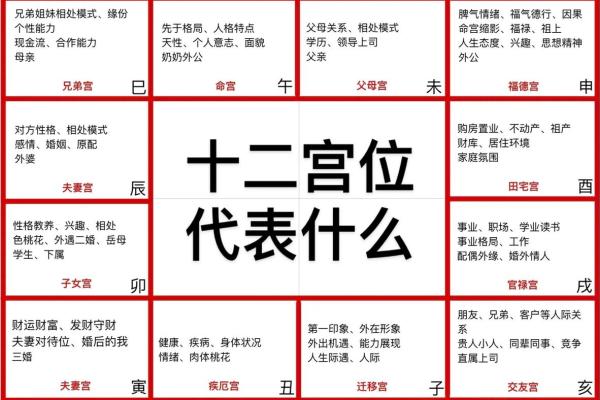 紫薇斗数排盘易安