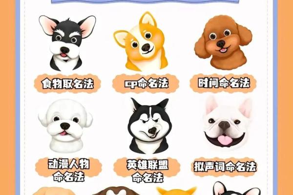 早上六点出生的属狗男孩如何取名,用什么字好姓名 早上六点出生的属狗男孩如何取名,用什么字好姓名