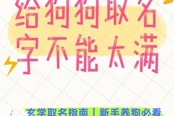 早上六点出生的属狗男孩如何取名,用什么字好姓名 早上六点出生的属狗男孩如何取名,用什么字好姓名