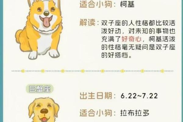 狗属于哪个星座？星座性格大揭秘！