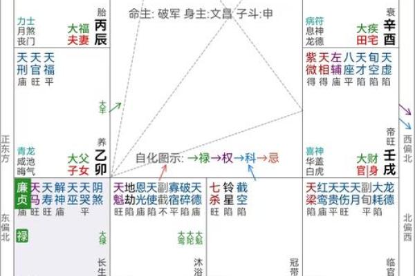 紫薇斗数中同度什么意思