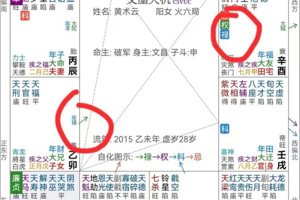 紫微斗数财运为负 紫微斗数看财运级别？