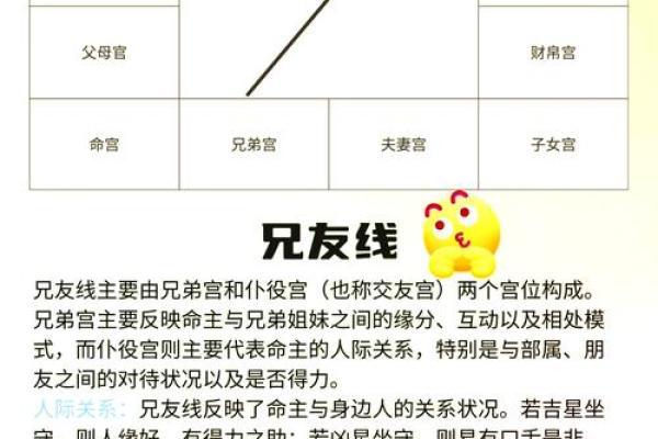 紫薇斗数交运是什么意思