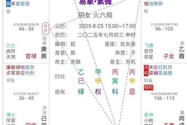 唐艺尹老师紫薇斗数算田宅宫：廉贞星坐守十二宫位置分析田产运