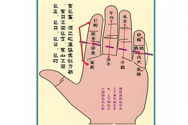 算命测试名字