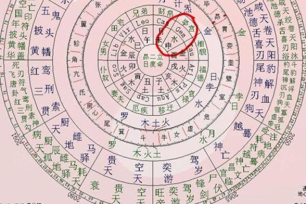 紫薇斗数事业宫在哪