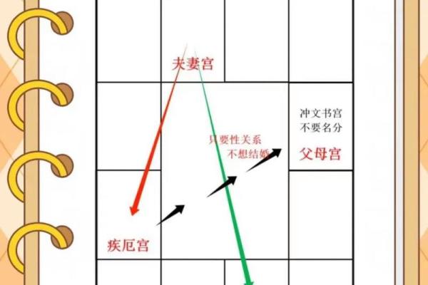 看紫薇斗数顺序