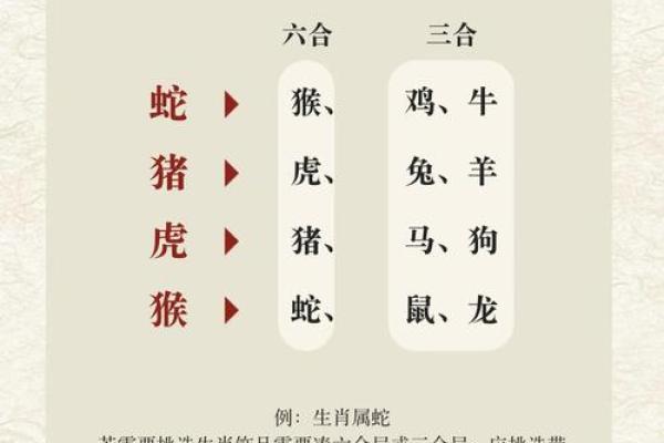 95猪男和98年虎女八字合不合 95猪男和98年虎女八字合不合一身财运