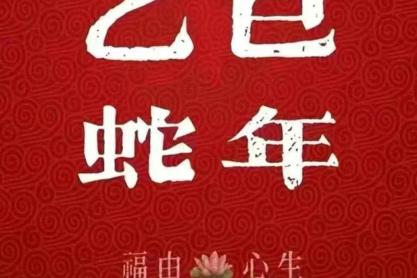十二星座属蛇人运势运程
