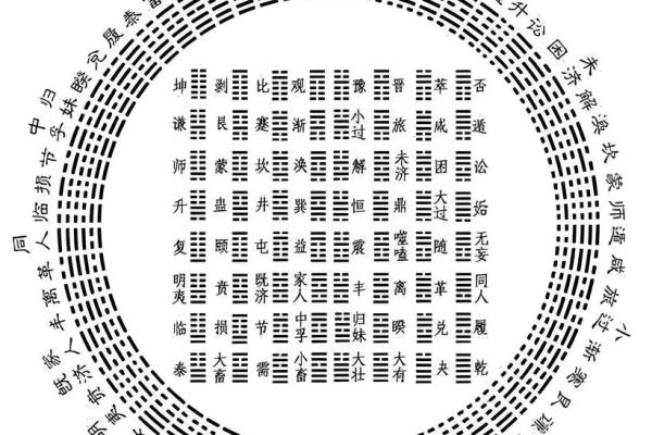 华少八字命理