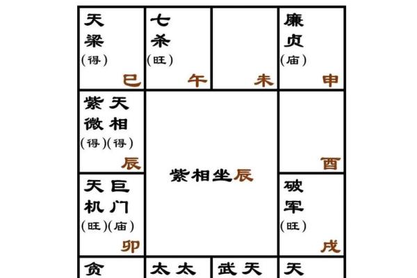 紫薇斗阿数