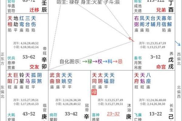 紫微斗数在线算命免费下载 紫微斗数在线排盘免费解析？