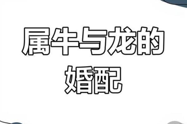 生辰八字牛配对，测算你们的最佳婚姻组合